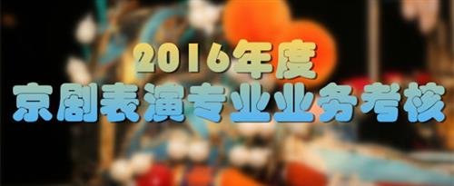 老太太阴道自慰视屏国家京剧院2016年度京剧表演专业业务考...